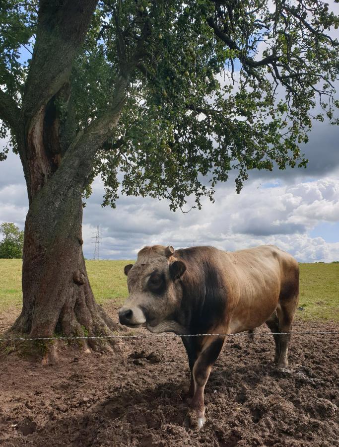 La Ferme Du Chateau De Broich * Plombieres